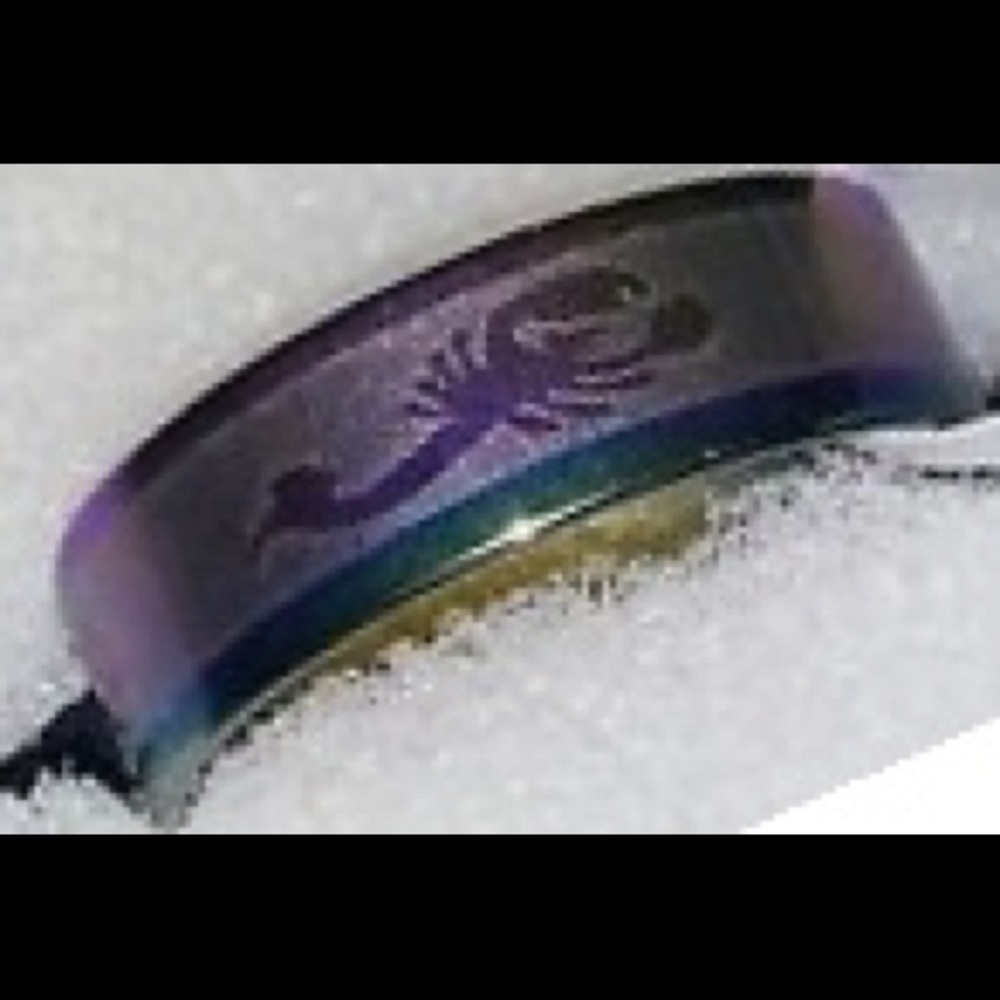 🦂 Men’s Scorpion Rainbow Titanium Steel Band Ring